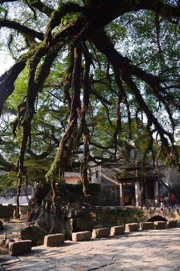 博皓游記 | 夏風(fēng)微醺的綺夢(mèng)，領(lǐng)略賀州黃姚古鎮(zhèn)、姑婆山閑憩之美-12