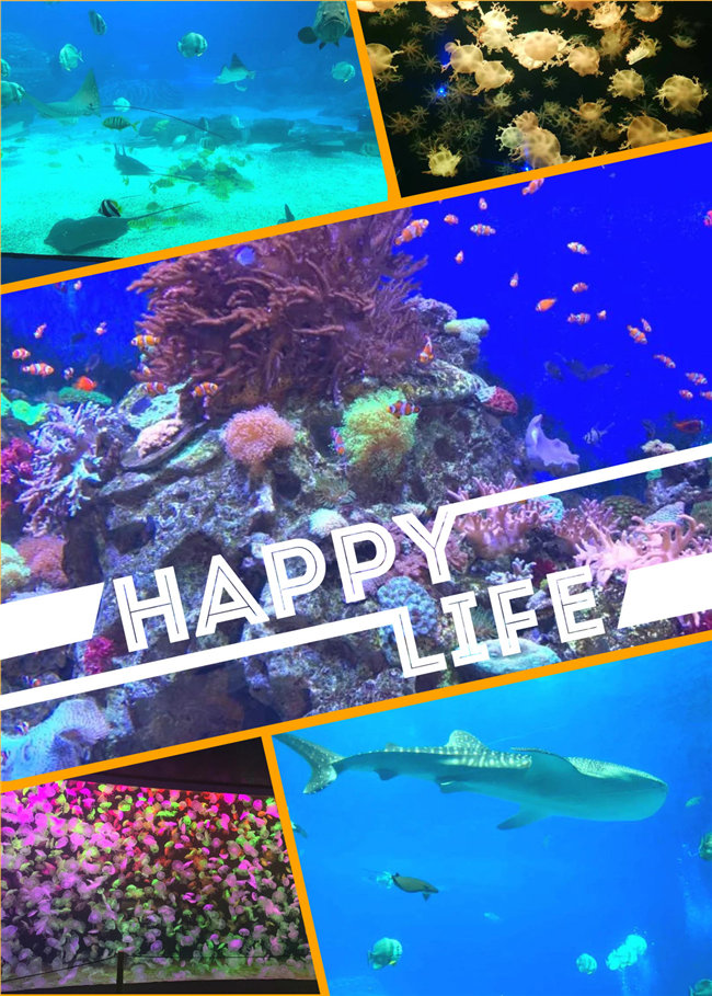 廣東博皓親子游：珠海長隆海洋王國，探索海洋生物的奧秘，奇妙的動(dòng)物世界