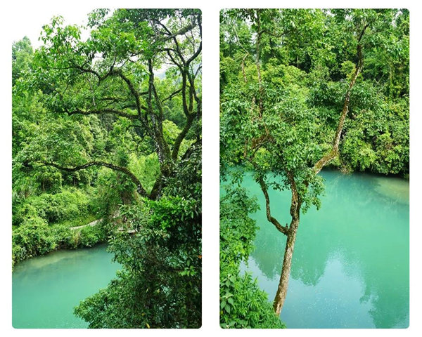多彩貴州，魅力天下，2021年廣東博皓快樂貴州行-29
