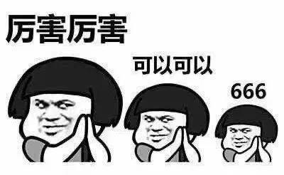 厲害厲害，可以可以，666