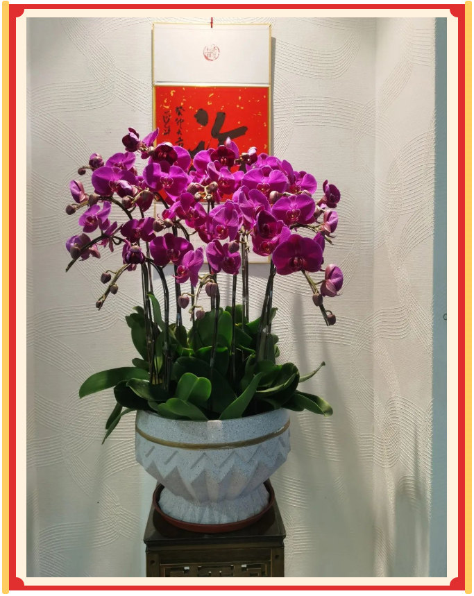 廣東博皓開工大吉丨金虎騰躍，兔來運轉(zhuǎn)           -23