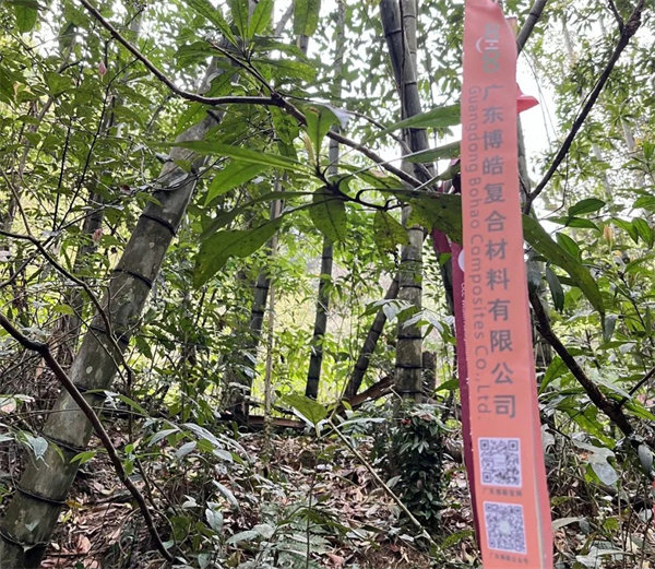 凝心聚力再出發(fā)，風(fēng)雨同舟赴星溪！--廣東博皓2024龍年首登星溪之旅     -2