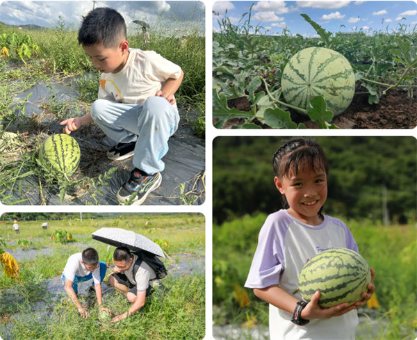 趣游盛夏，一路童行—2024年廣東博皓親子游   -12