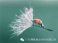 【博皓感悟】成功，要“借力”，不要“盡力”