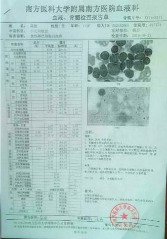 高俊的血液、骨髓檢查報(bào)告單