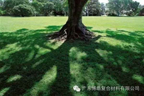 【博皓感悟】欲為大樹，莫與草爭(zhēng)-6
