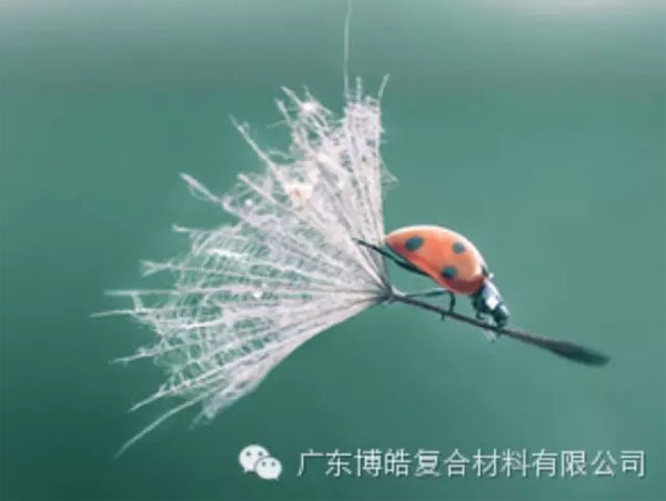 【博皓感悟】成功，要“借力”，不要“盡力”